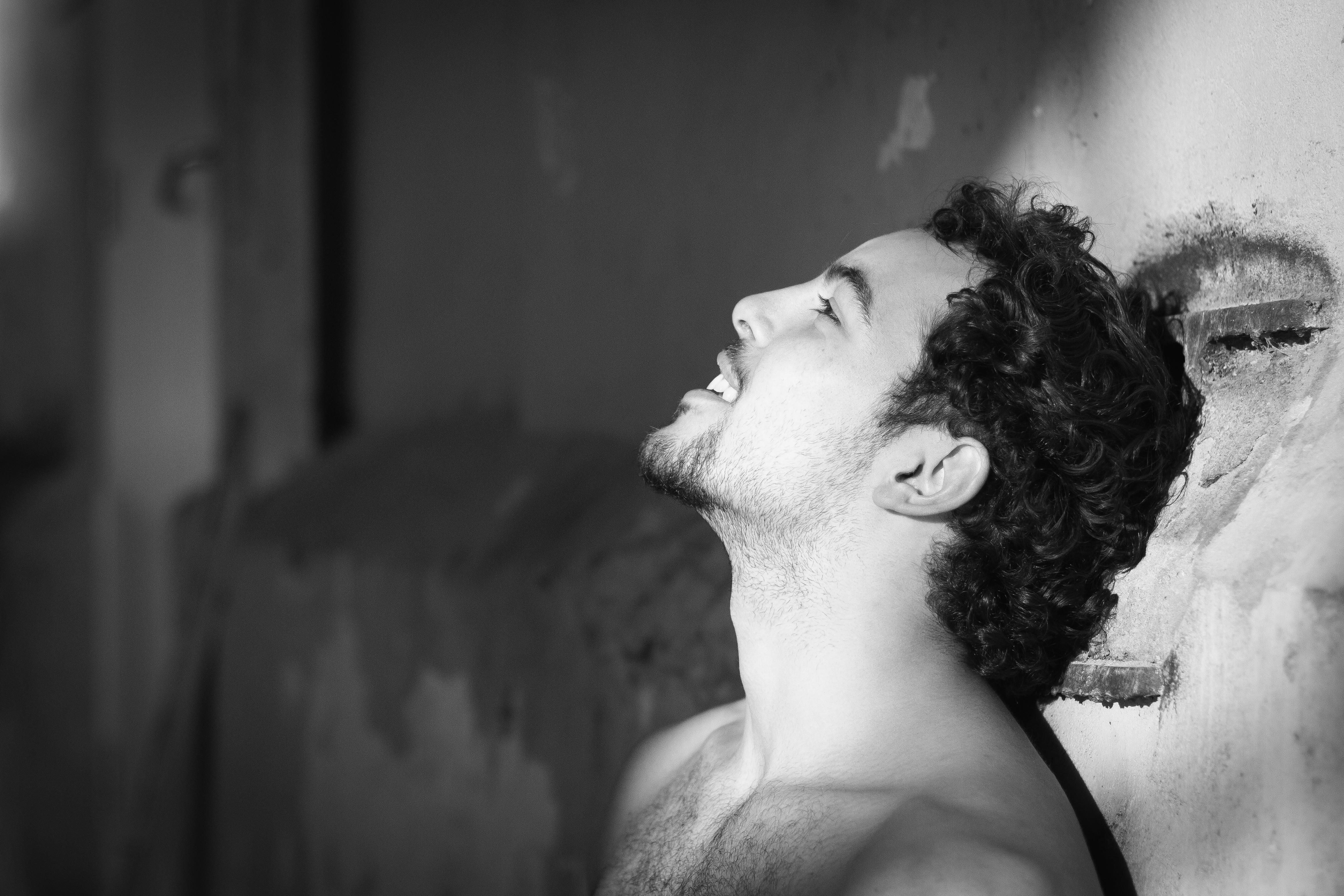 Rafael 