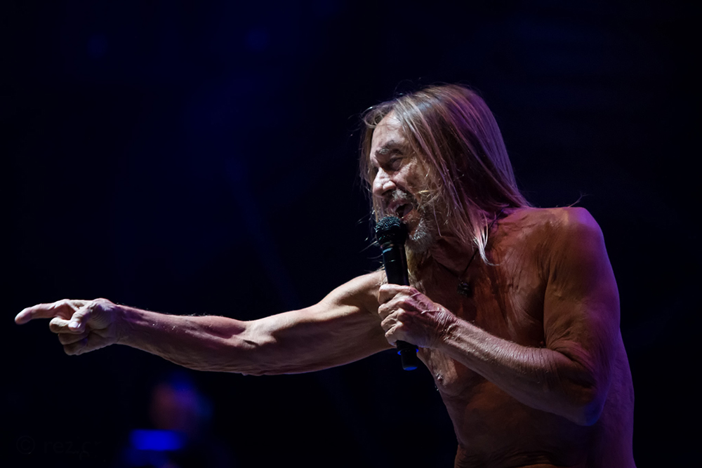 Iggy Pop, Lowlands 2017